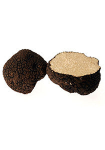 Tuber Aestivum (Summer Black Truffle) (OS)